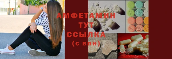 прущие грибы Пересвет
