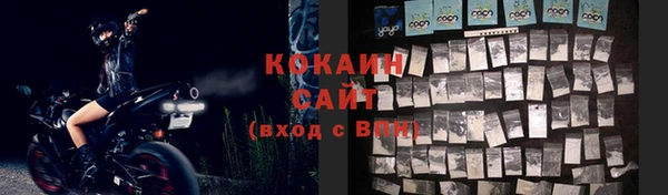молекула духа Переславль-Залесский