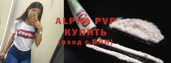 молекула духа Переславль-Залесский