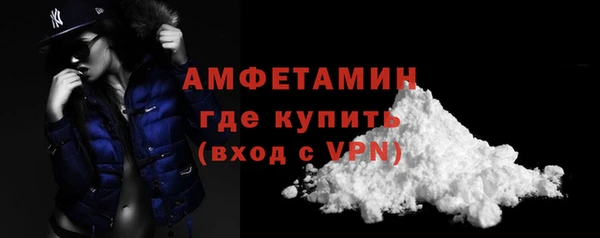молекула духа Переславль-Залесский
