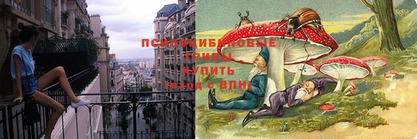 ECSTASY Пестово