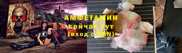 прущие грибы Пересвет
