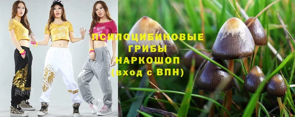 молекула духа Переславль-Залесский