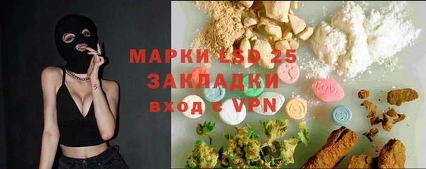 прущие грибы Пересвет