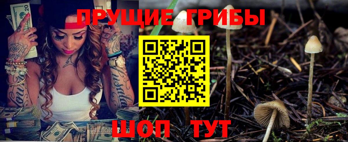 купить наркоту  Псилоцибиновые грибы Psilocybine cubensis  Вход с VPN  Великие Луки 