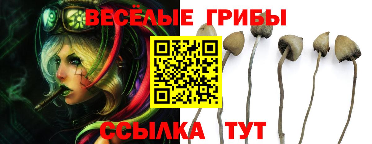 Галлюциногенные грибы Magic Shrooms  Псилоцибиновые грибы прущие грибы  Великие Луки 