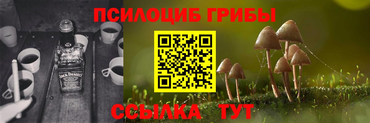 Псилоцибиновые грибы GOLDEN TEACHER Великие Луки