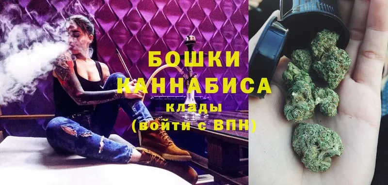 Бошки марихуана Amnesia  Великие Луки 